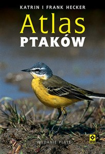 Obrazek Atlas ptaków