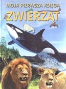 Moja pierw... - Dee Phillips -  foreign books in polish 