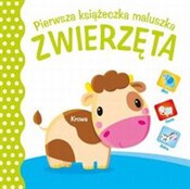Zobacz : Pierwsza k...