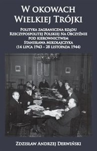Obrazek W okowach Wielkiej Trójki Polityka zagraniczna rządu Rzeczypospolitej Polskiej Na Obczyźnie pod kierownictwem Stanisława Mikołajczyka 14 lipca 1943 - 28 listopada 1944