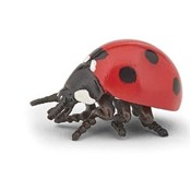 Książka : Biedronka