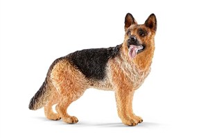 Picture of Owczarek niemiecki