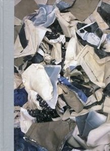 Obrazek Polityka obrazów Wybrane prace z lat 1999-2013