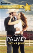Książka : Sny na jaw... - Diana Palmer