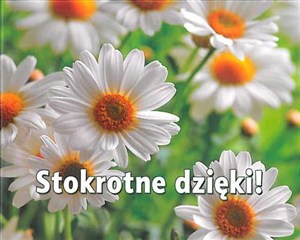 Picture of Stokrotne dzięki perełki