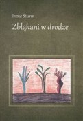 Zbłąkani w... - Irene Sturm -  foreign books in polish 