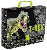 Polska książka : Teczka z r...