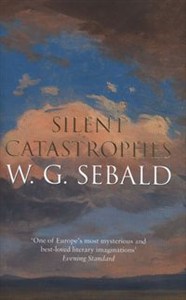 Obrazek Silent Catastrophes Essays in Austrian Literature