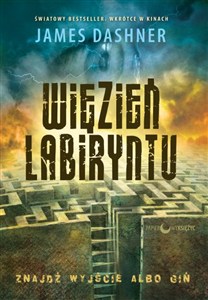 Obrazek Więzień Labiryntu