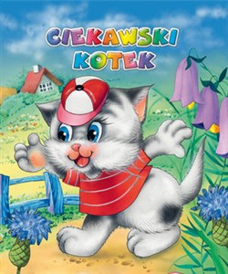 Obrazek Ciekawski kotek