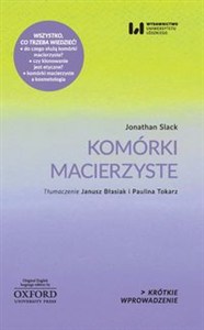 Obrazek Komórki macierzyste