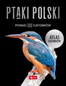 Obrazek Ptaki Polski Atlas gatunków
