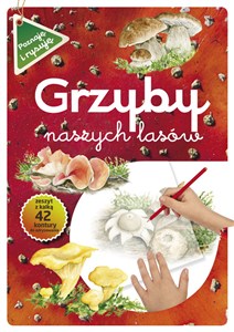 Obrazek Grzyby naszych lasów