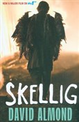 Zobacz : Skellig - David Almond