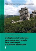 Litologicz... - Aleksandra Michniewicz-Cepuch -  foreign books in polish 