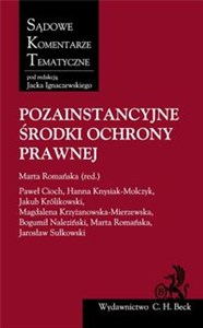 Obrazek Pozainstancyjne środki ochrony prawnej
