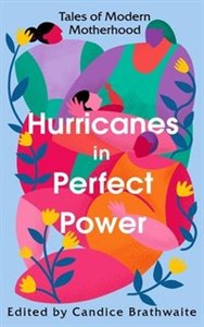 Picture of Hurricanes in Perfect Power