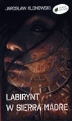 Labirynt w... - Jarosław Klonowski -  foreign books in polish 