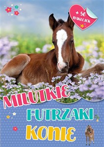 Picture of Milutkie futrzaki. Konie