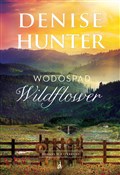 polish book : Wodospad W... - Denise Hunter