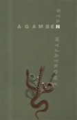 Polska książka : Stan wyjąt... - Giorgio Agamben