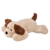 Zobacz : Pies leżąc...