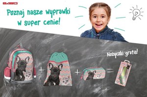 Picture of Wyprawka szkolna 18-081P Dog&Cat PASO