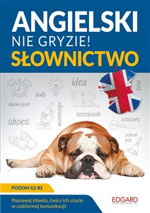 Obrazek Angielski nie gryzie! Słownictwo