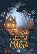 Polska książka : Mroczna i ... - Wallis Kinney