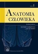 Zobacz : Anatomia c...