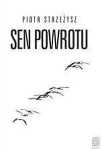Obrazek Sen powrotu