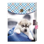 Polska książka : Pamiętnik ...