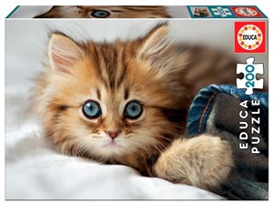 Obrazek Puzzle 200 Mały kotek G3