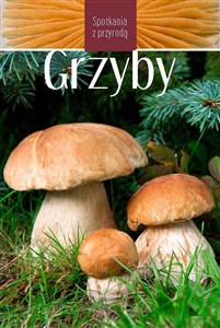 Picture of Grzyby. Spotkania z przyrodą