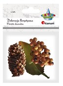 polish book : Kiść jagód...