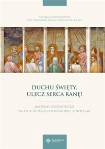 Picture of Duchu Święty, ulecz serca ranę!