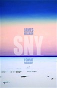 Sny i świa... - James Hillman -  Polish Bookstore 