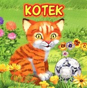 Kotek - Katarzyna Campbell -  foreign books in polish 