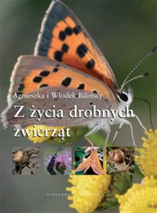 Obrazek Z życia drobnych zwierząt