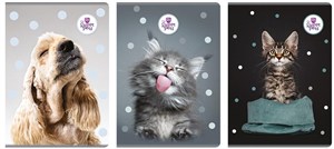 Picture of Zeszyt A4/60K kratka The sweet pets (5szt)