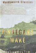 Finnegans ... - James Joyce -  Książka z wysyłką do UK