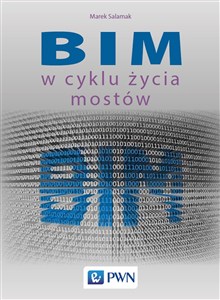 Obrazek BIM w cyklu życia mostów