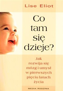 Obrazek Co tam się dzieje Jak rozwija się mózg i umysł w pierwszych pięciu latach życia