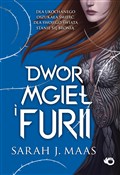 Polska książka : Dwór mgieł... - Sarah J. Maas