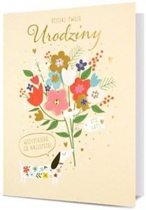 Obrazek Karnet B6 Urodziny