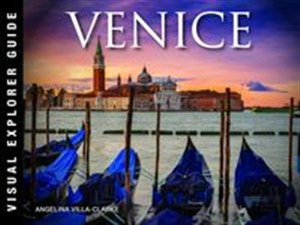 Picture of Venice: Visual Explorer Guide