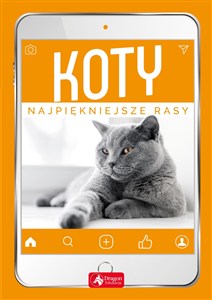 Obrazek Koty Najpiękniejsze rasy