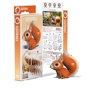 Wiewiórka ... -  Polish Bookstore 