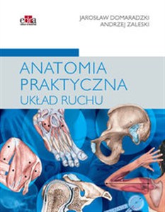Obrazek Anatomia praktyczna Układ ruchu