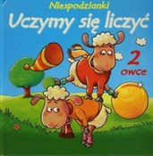 polish book : Niespodzia...